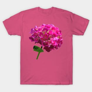 Pink Hydrangea Flower T-Shirt